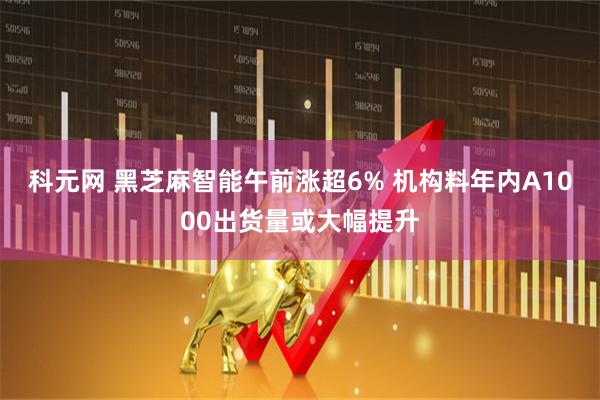 科元网 黑芝麻智能午前涨超6% 机构料年内A1000出货量或大幅提升